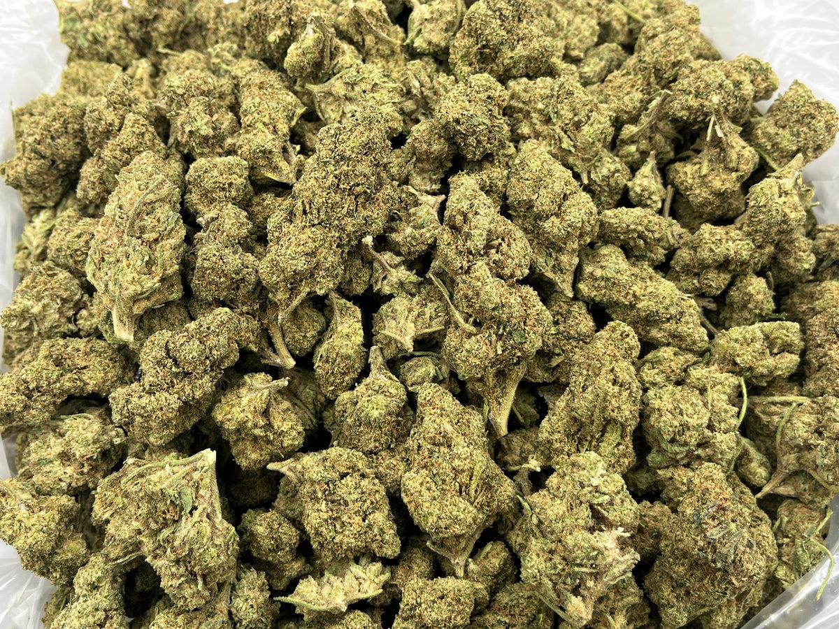 Mule Fuel (Deps) bag photo