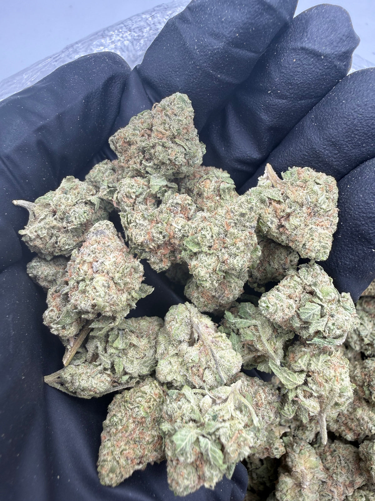 Gummy Bear nugs photo