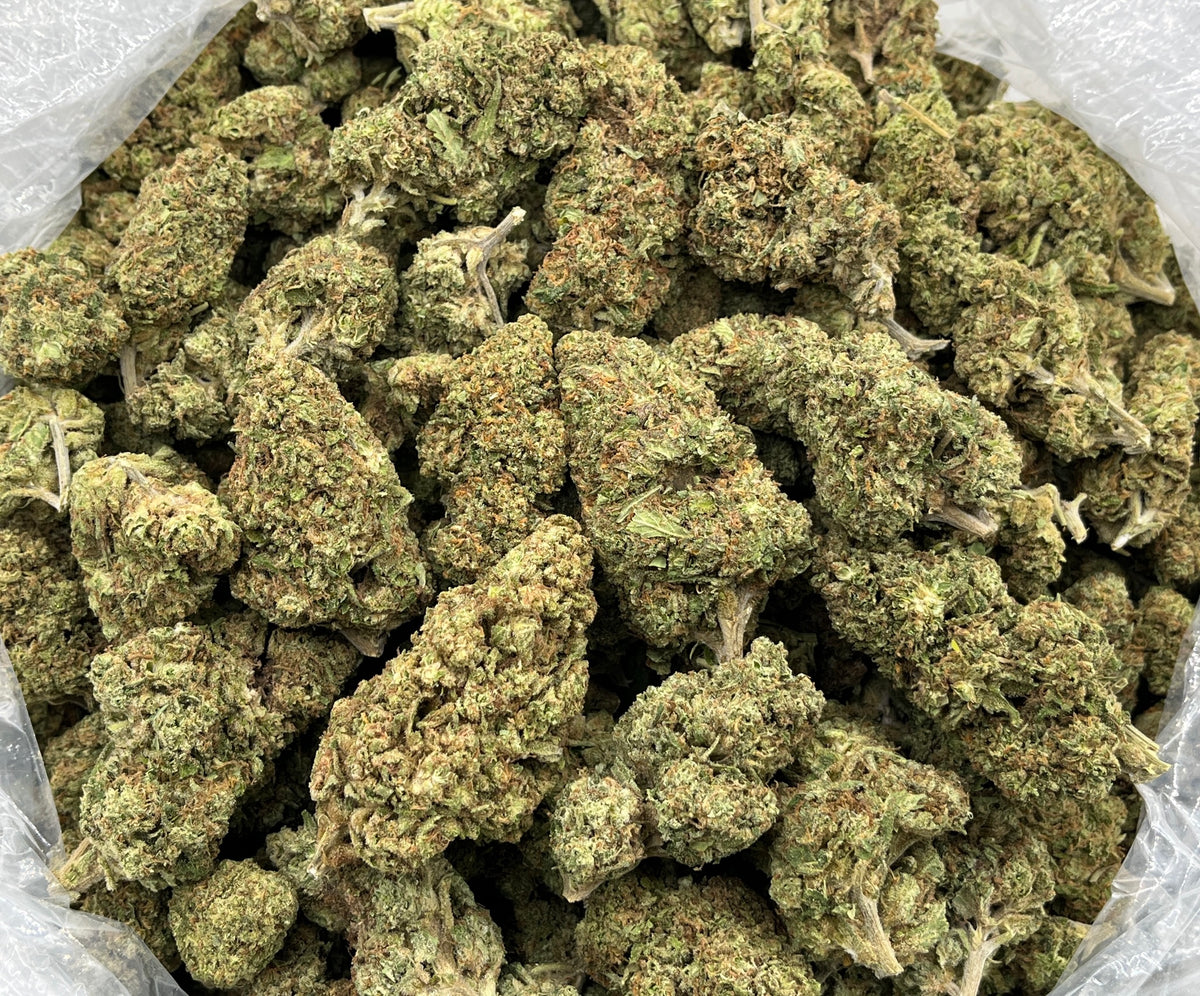 Pop Tartz (Deps) supplier bag photo