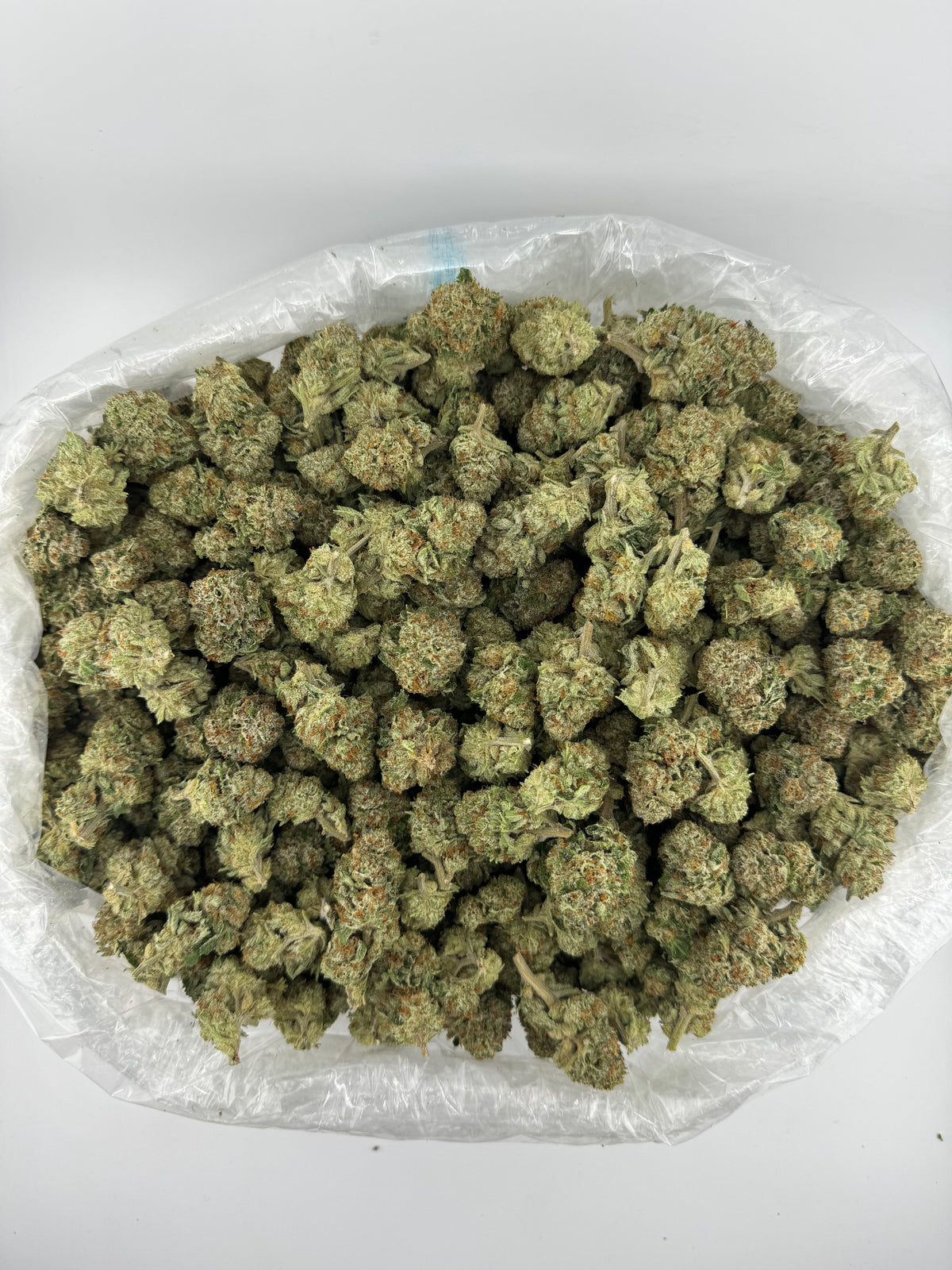 Illemonati (Indoor) bag photo