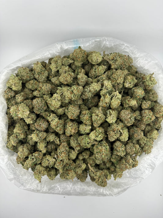 Illemonati (Indoor) bag photo