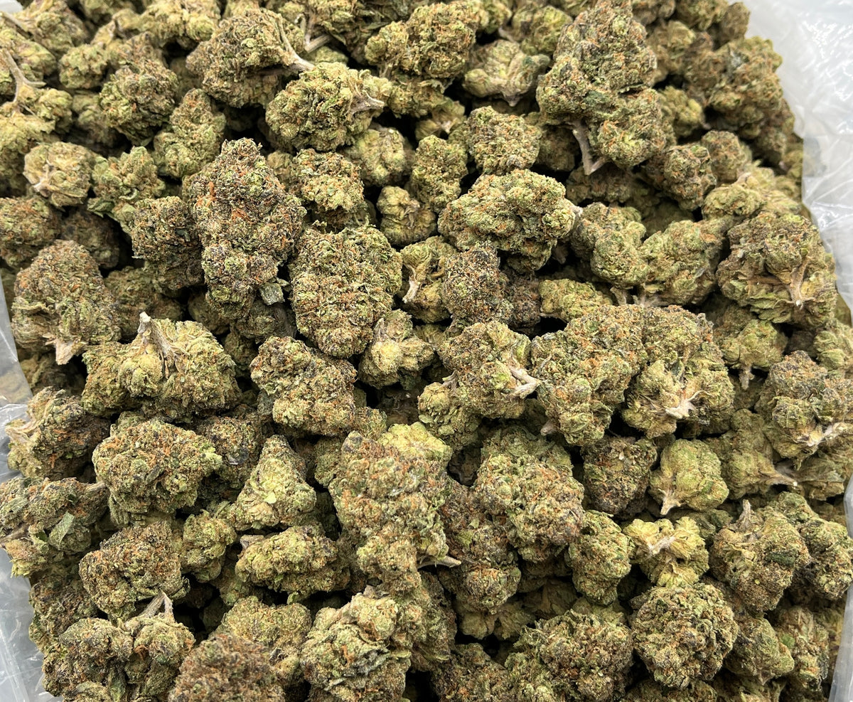 Mochi Runtz (Indoor) bag photo