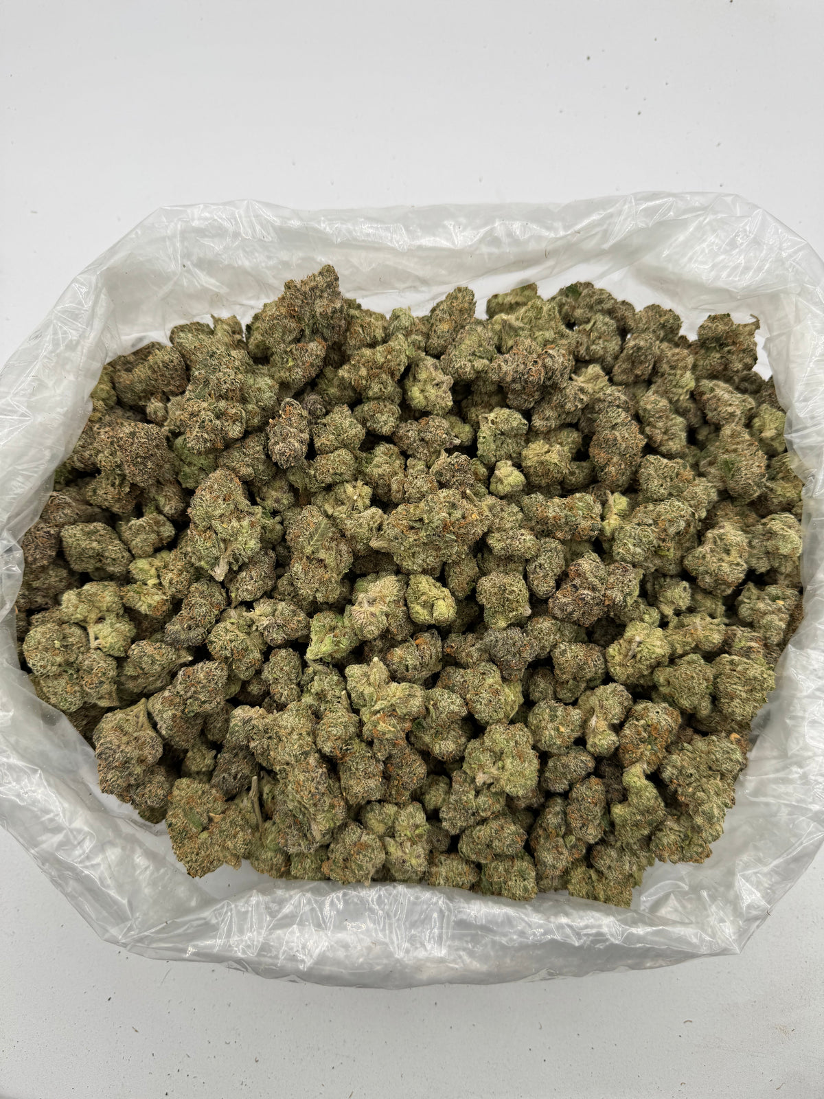 Gelato Candy (Indoor Plus) bag photo