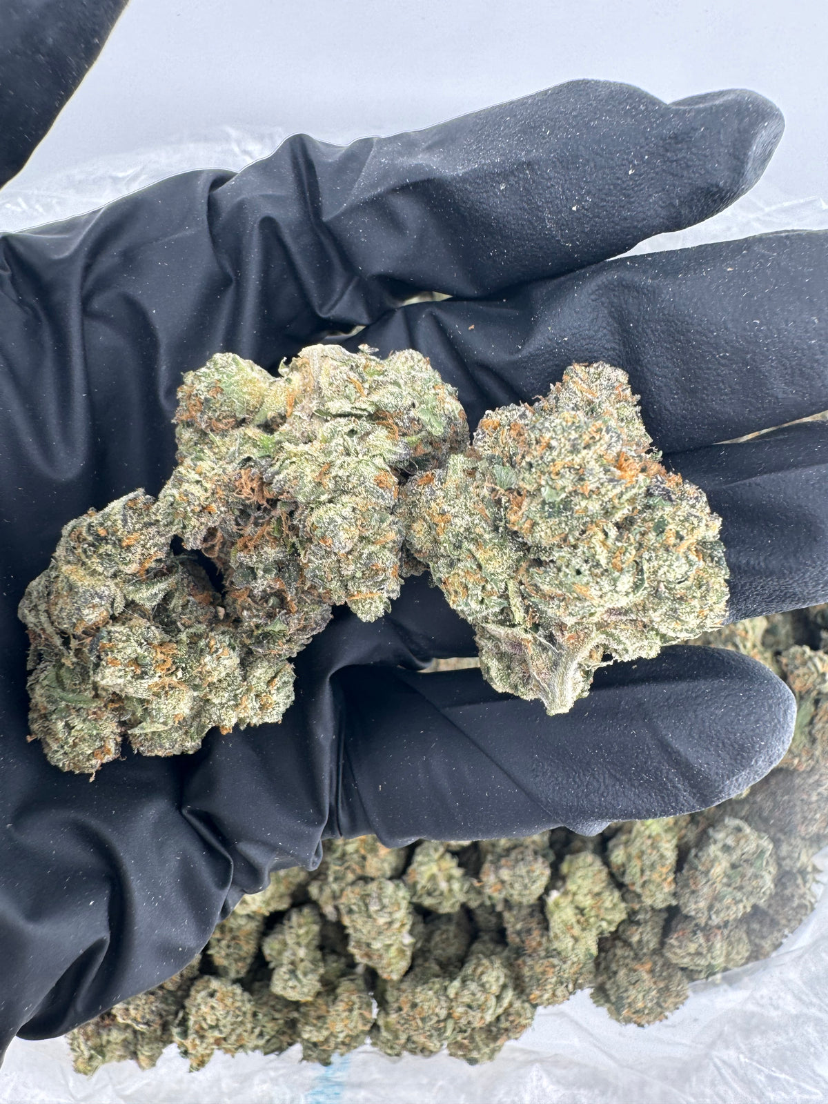 Crystal Candy (High End Bigs) flower photo