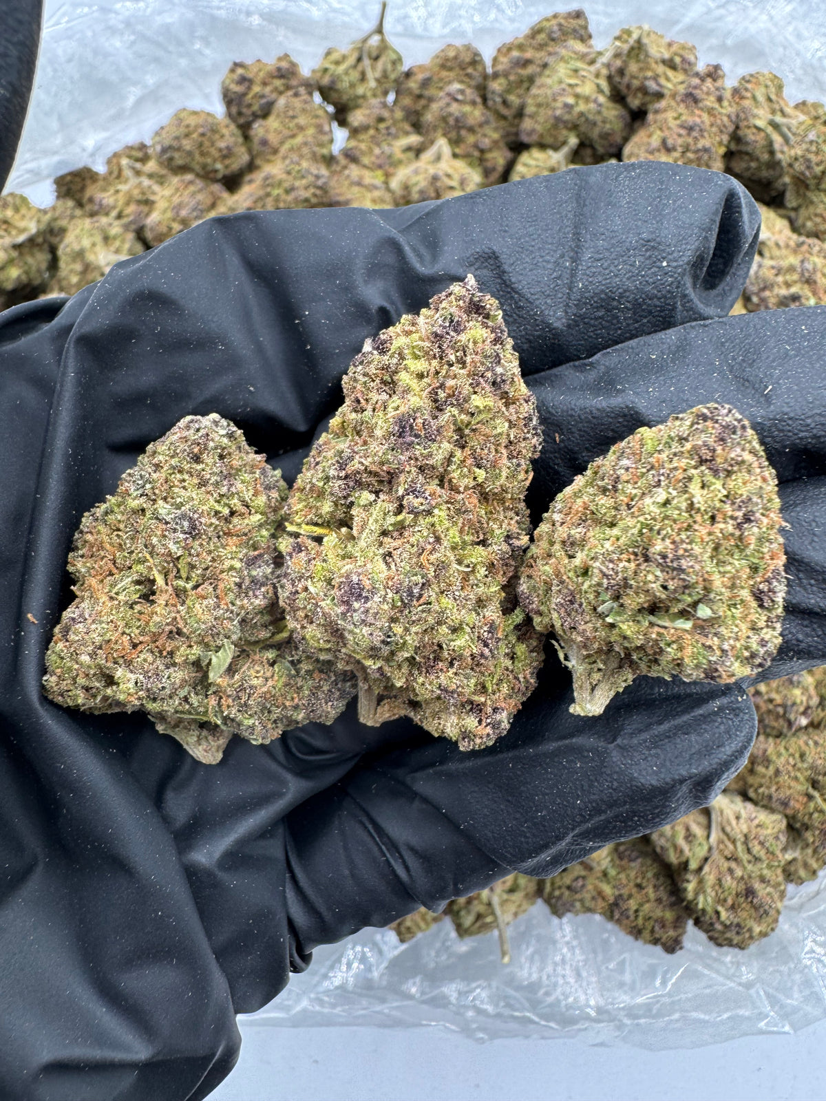 Juicy Fruit (Indoor) flower photo