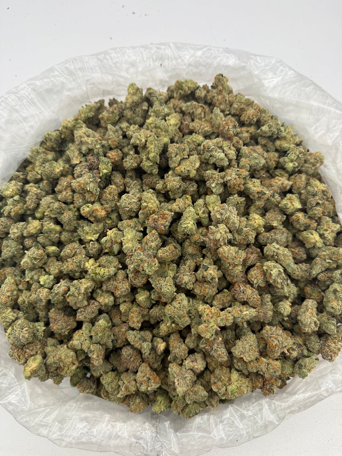 Larry Bird (Smalls)