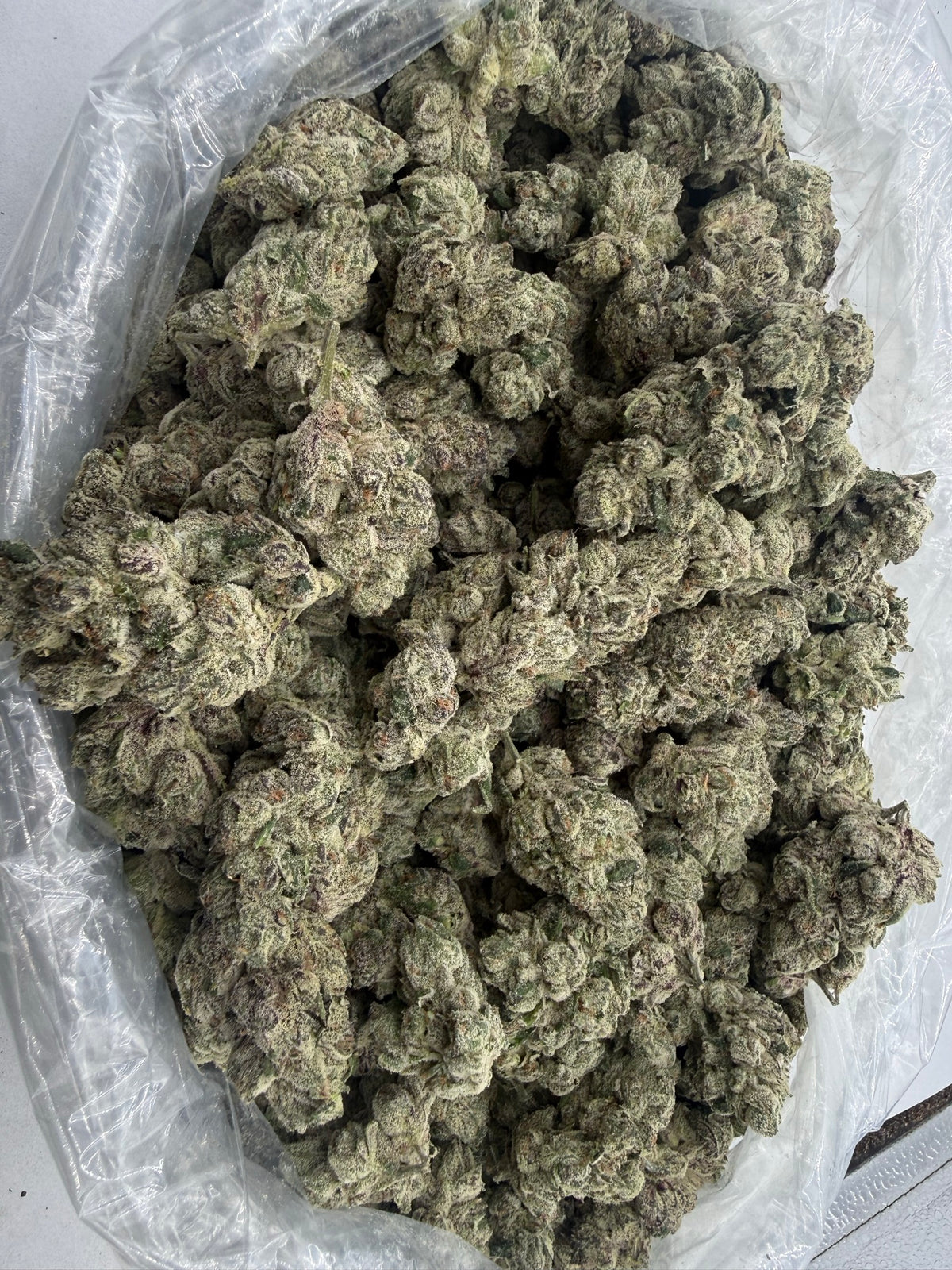 Rainbow Shaved Ice (Exotic) bag photo