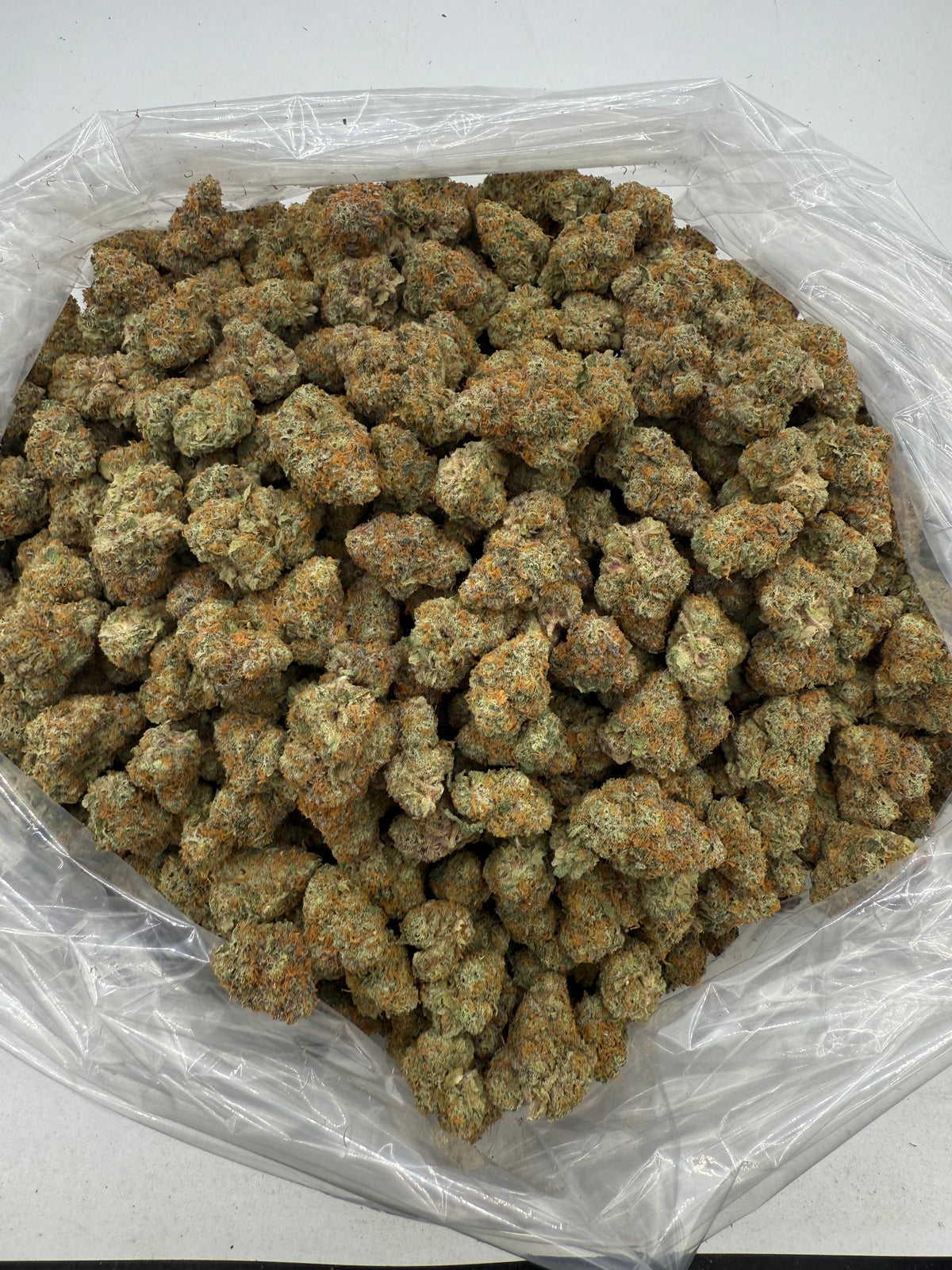 ZOAP (Indoor Plus) bag