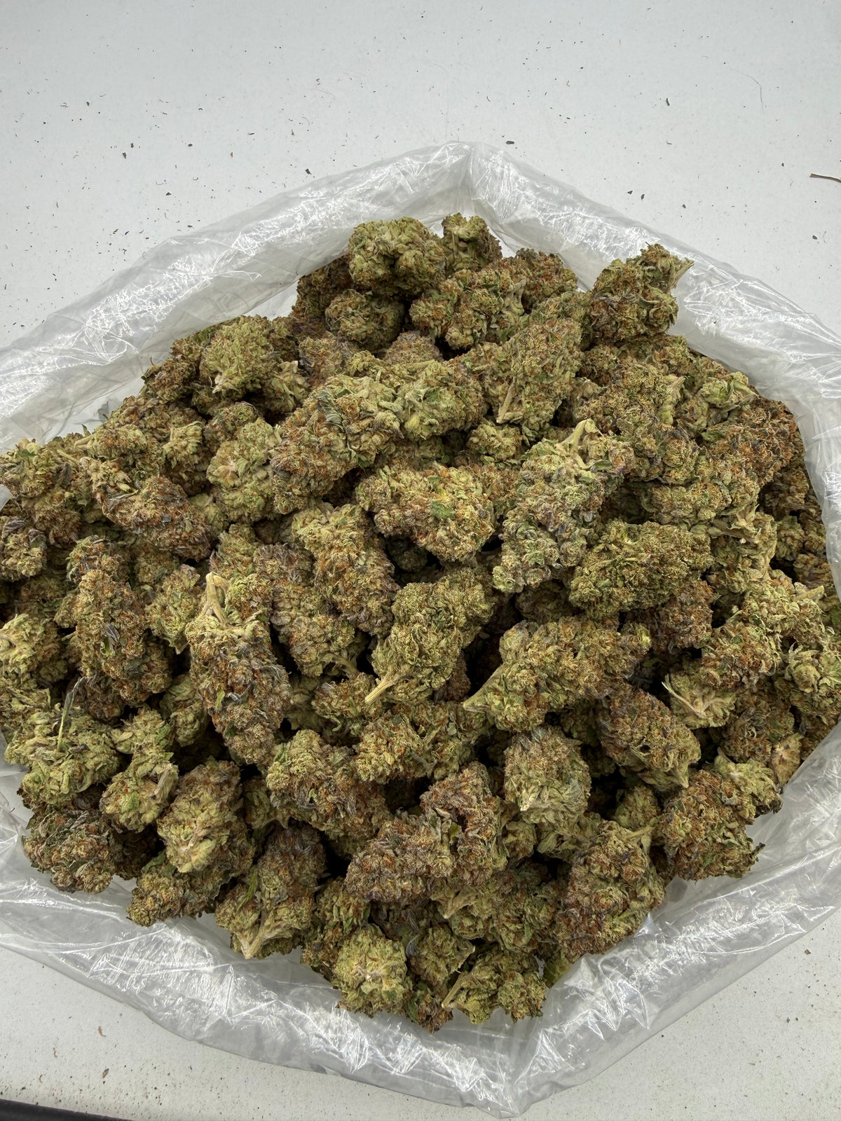 Slurricane (Deps) bag photo