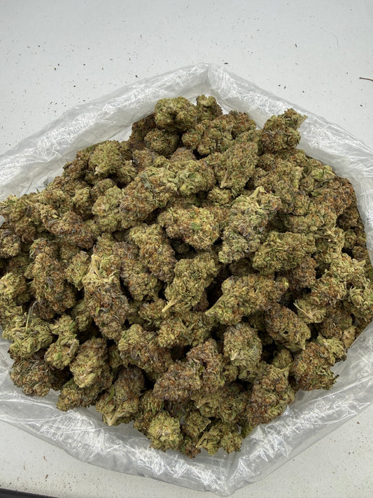 Slurricane (Deps) bag photo