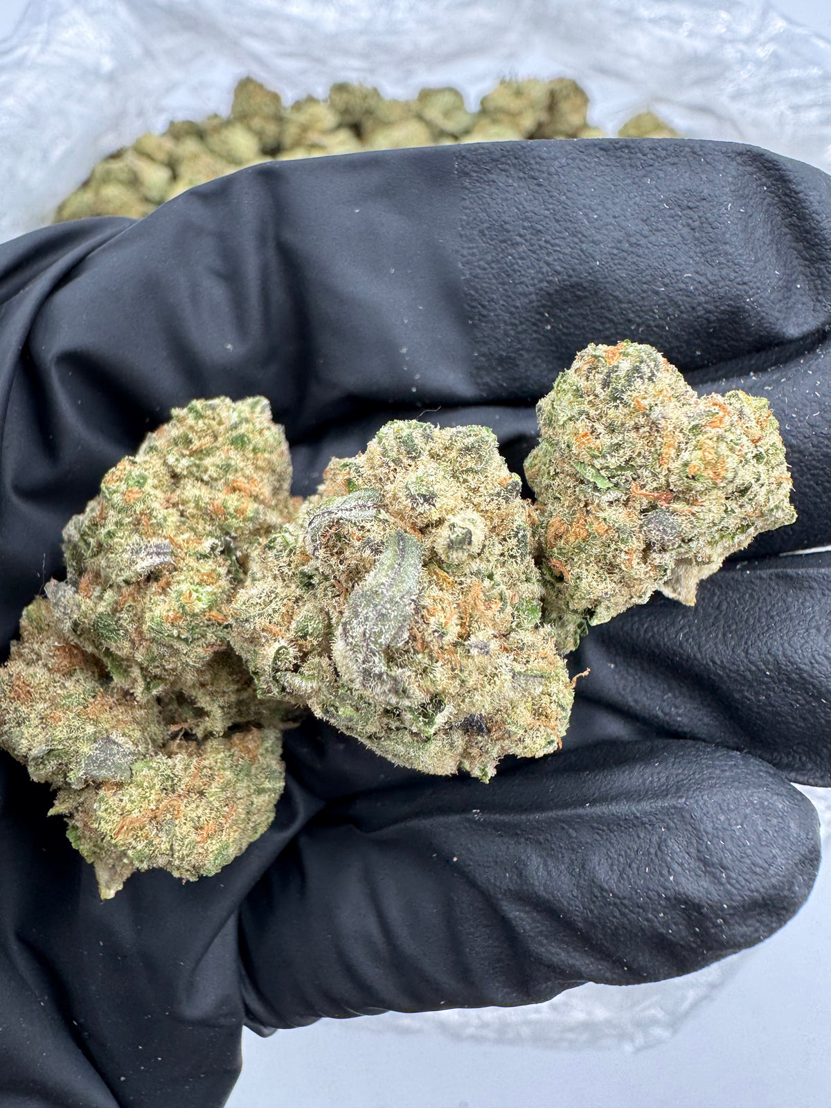 Dip N Stix (Indoor) flower photo