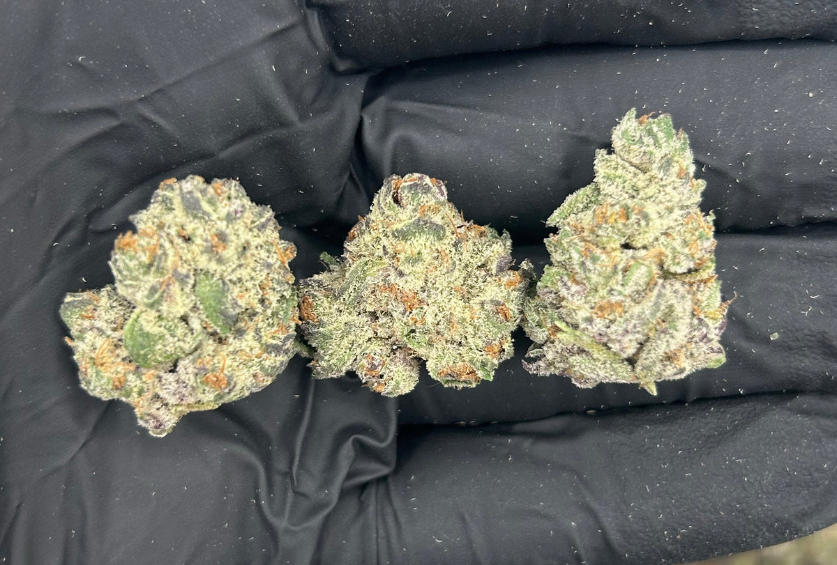 LA Runtz (Indoor Plus) flower photo