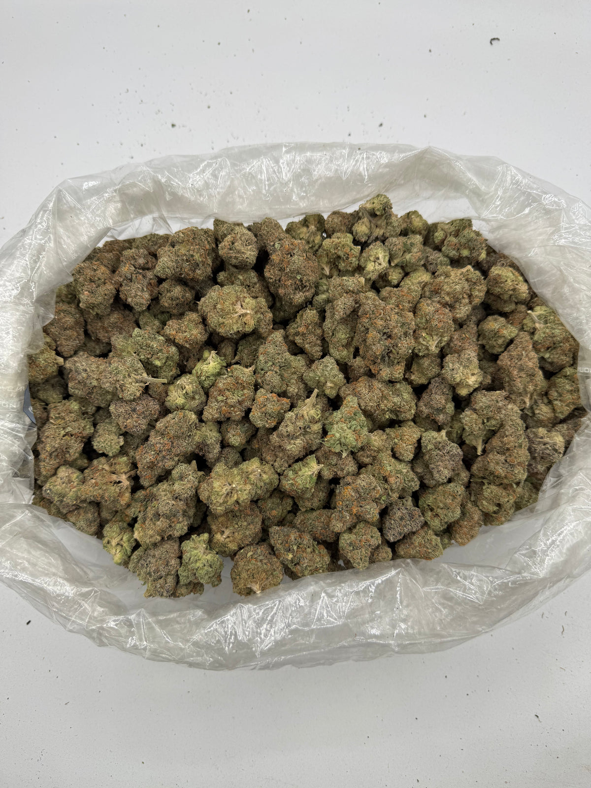 Purple Gushers (Indoor Plus) bag