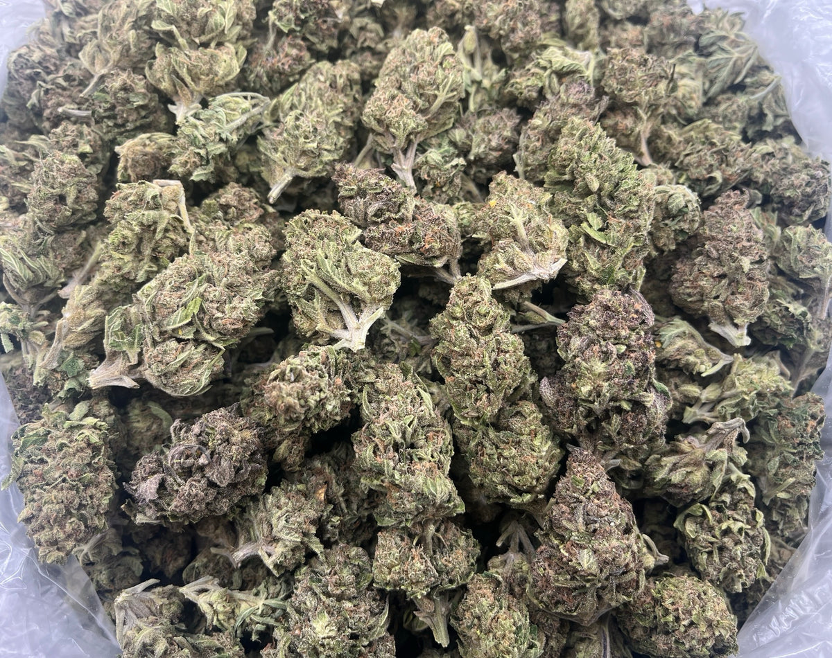Green Lantern (Deps) supplier bag photo