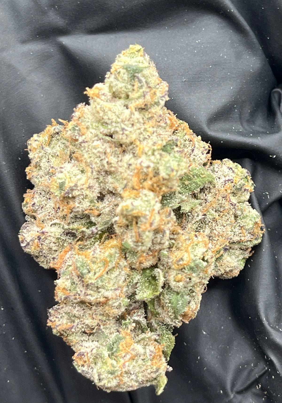 French Budder (Exotic) supplier nug photo