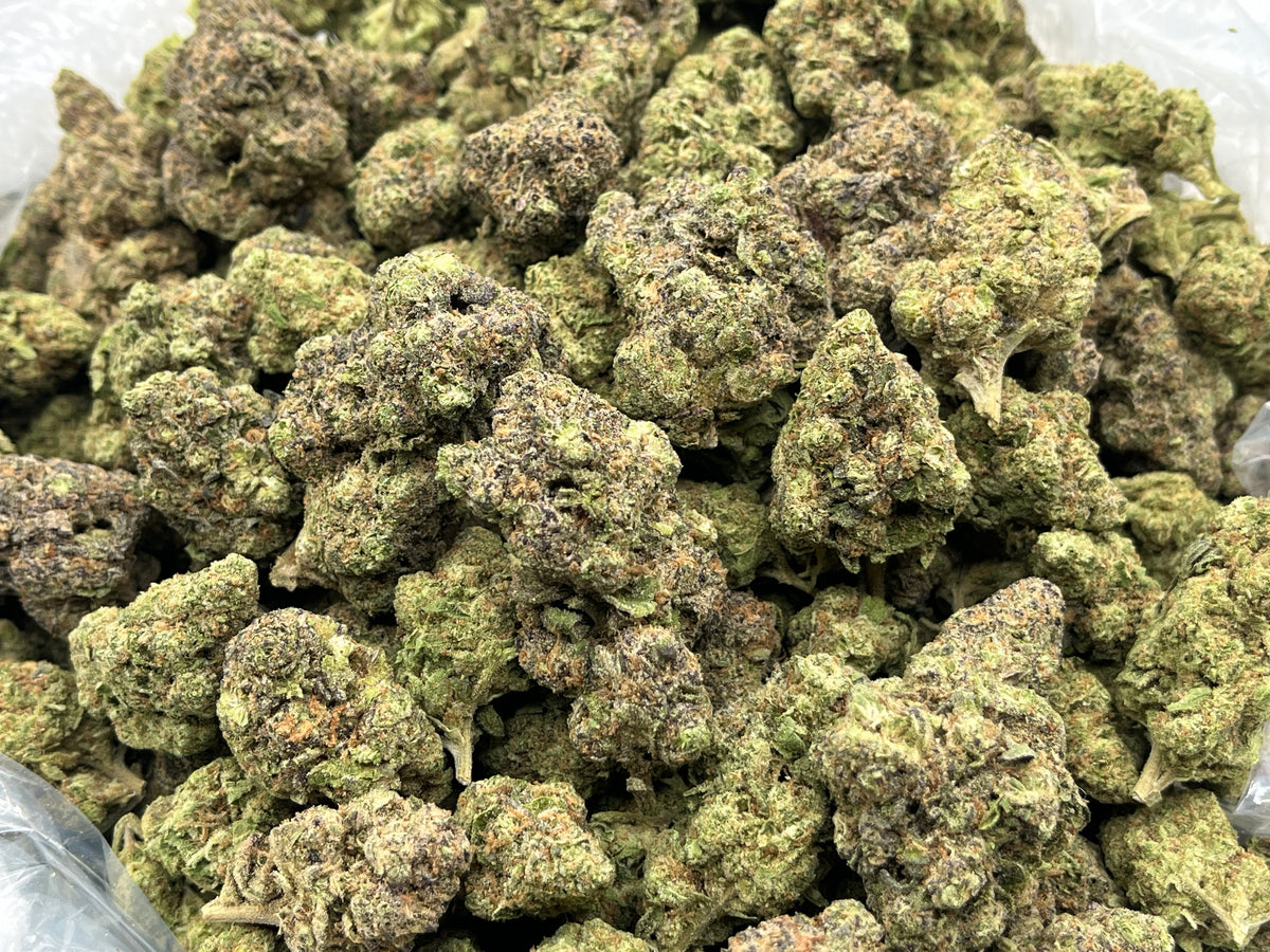 Gummy Bear (Indoor) bag photo