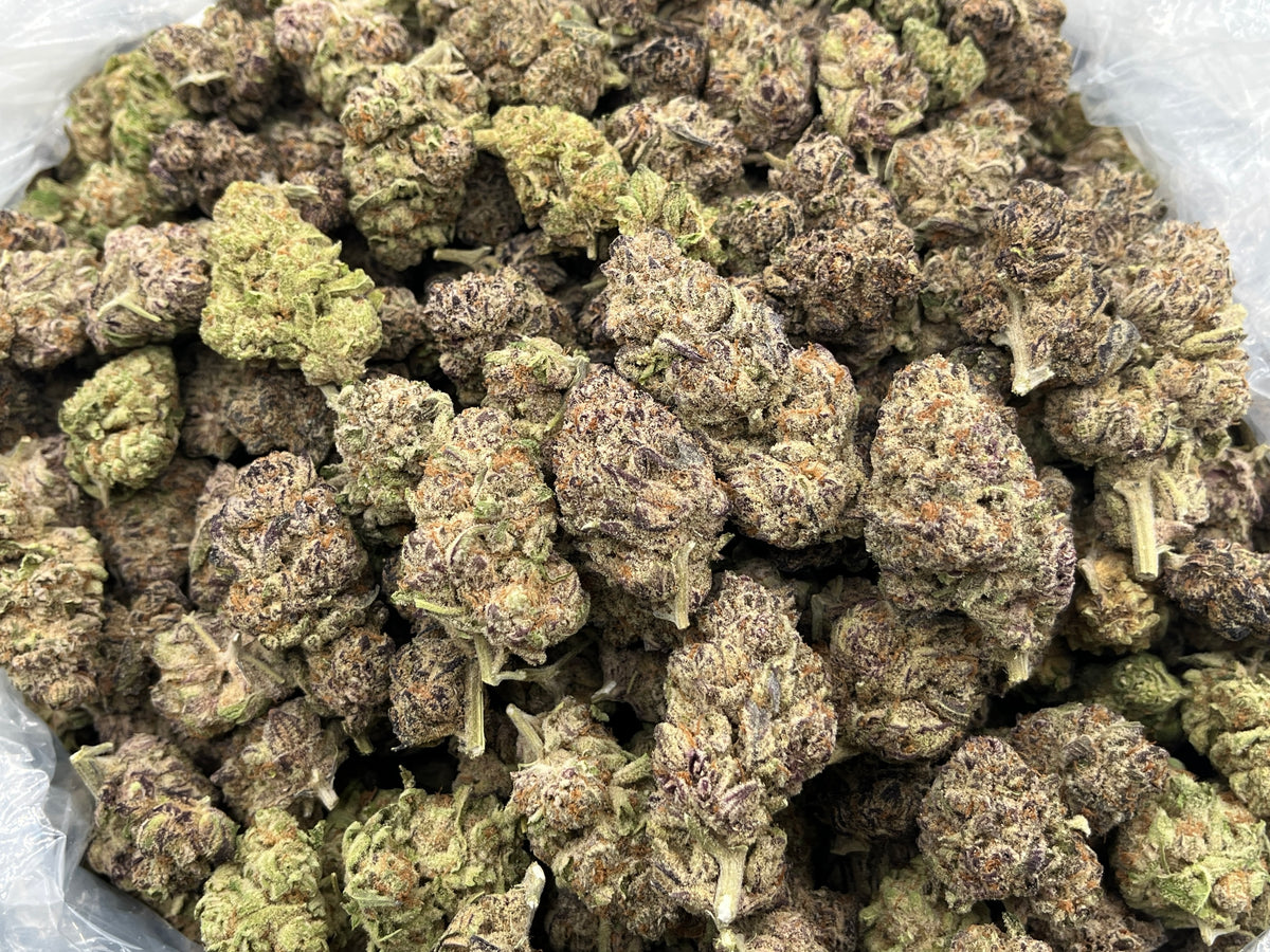Midnight Grape (Indoor) bag photo