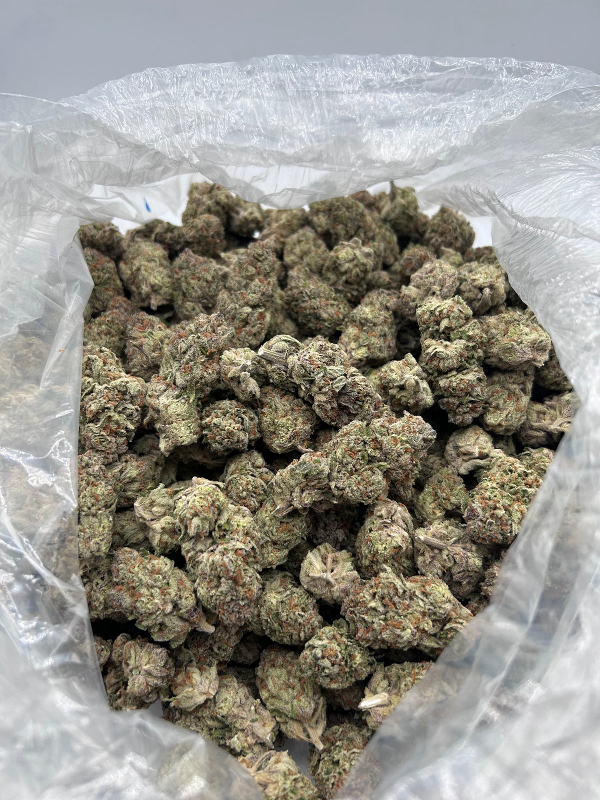 Green Slime (Indoor) bag