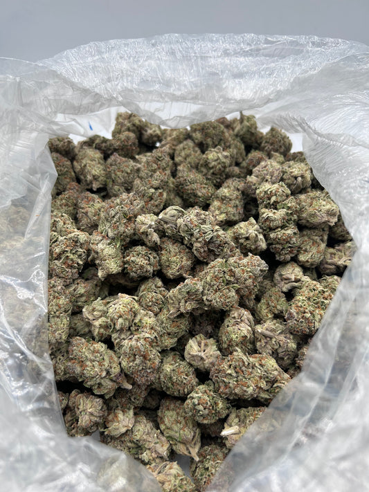 Green Slime (Indoor) bag