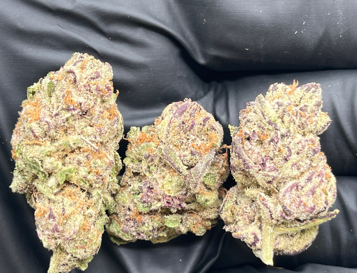 Raspberry Cough (Indoor) flower photo