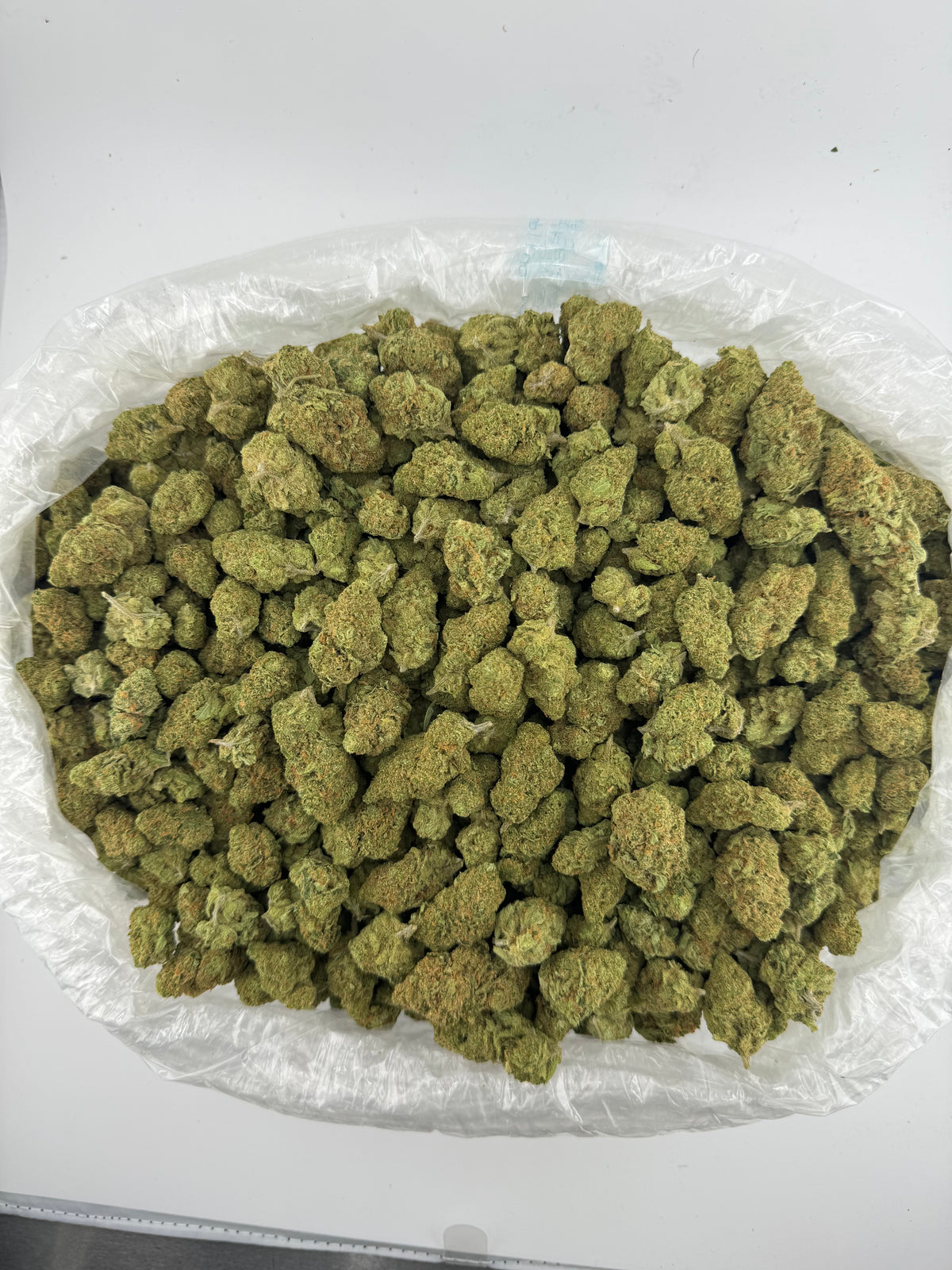 Jack Black (Indoor) bag photo