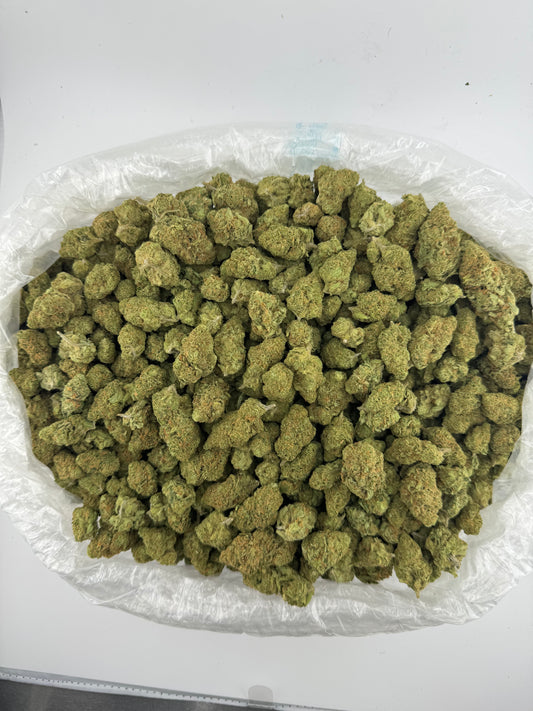 Jack Black (Indoor) bag photo