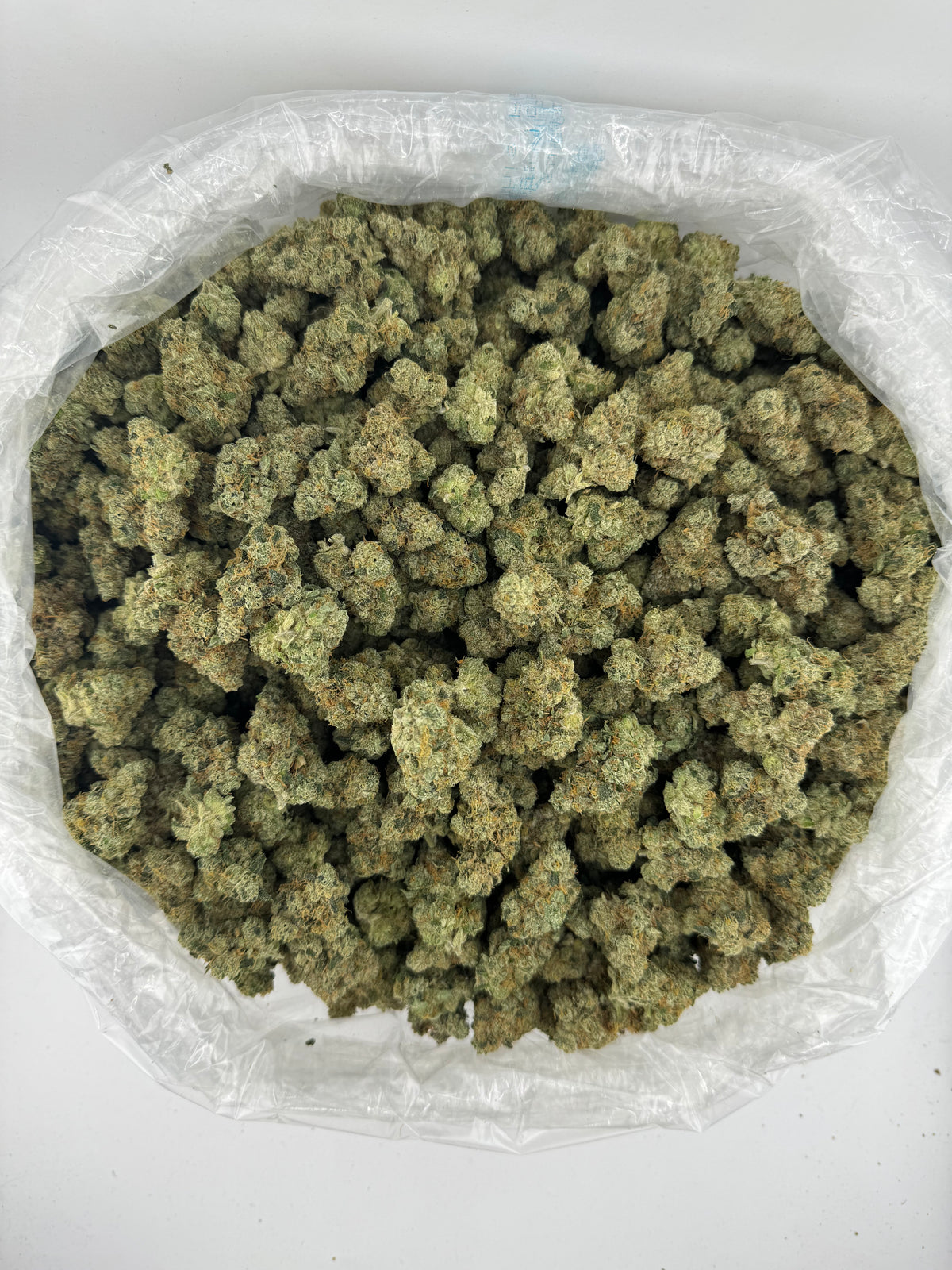 Curacao (Indoor) supplier bag photo