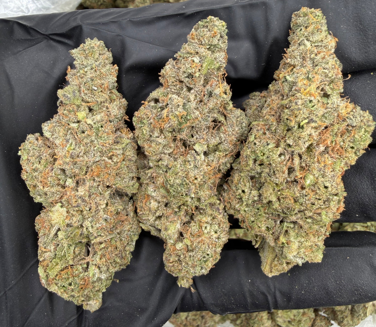 Frosted Runtz (Indoor Plus) flower photo