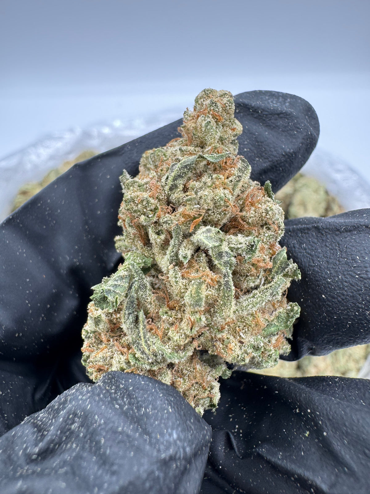 Candy Joker (Deps) supplier nug photo