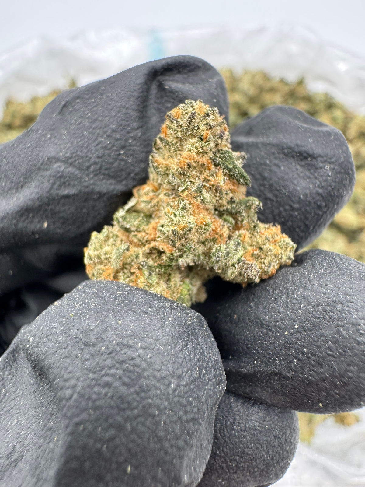Cherry Baby (Smalls) supplier nug photo