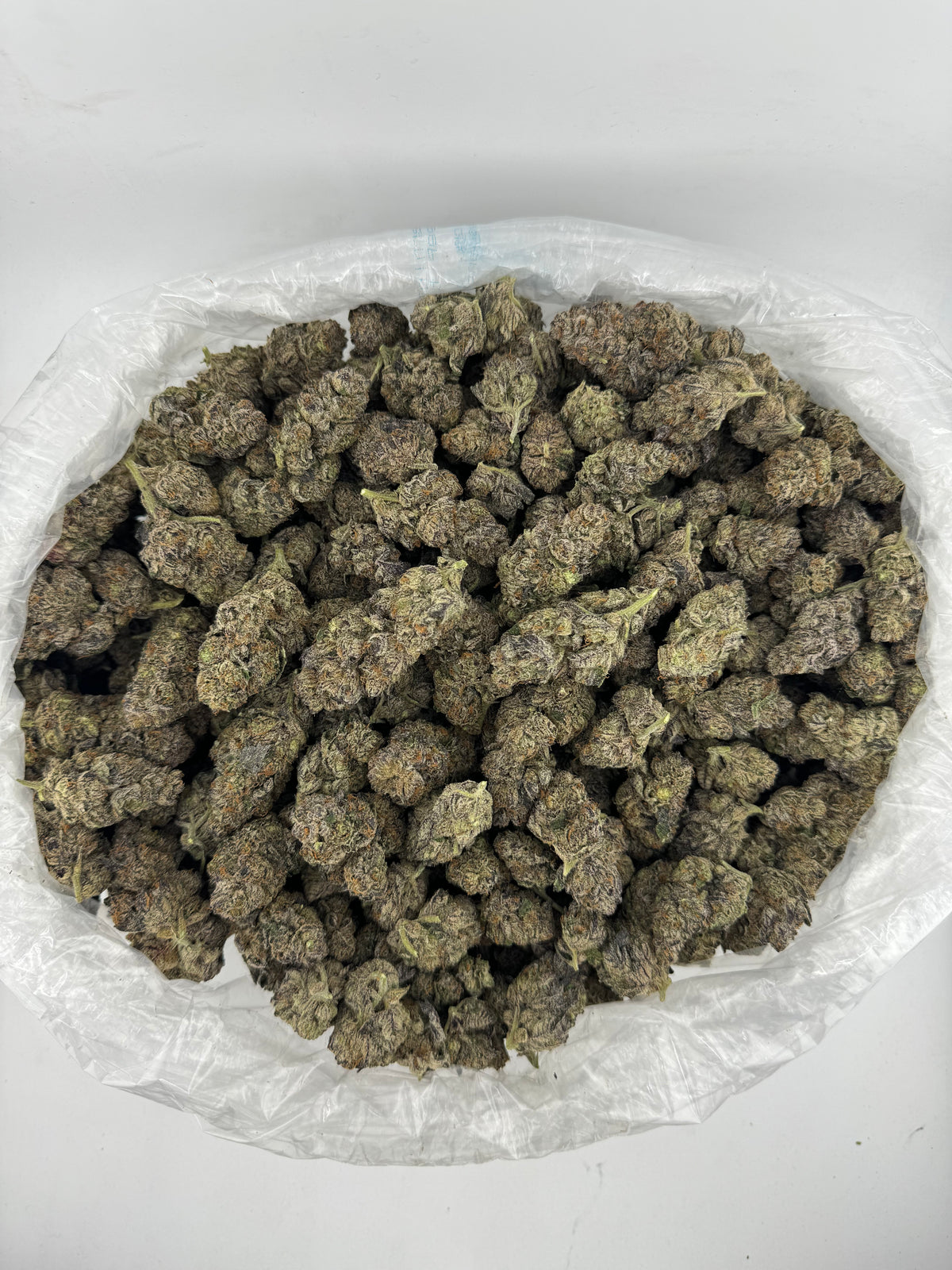 Girl Scout Cookies (Indoor)