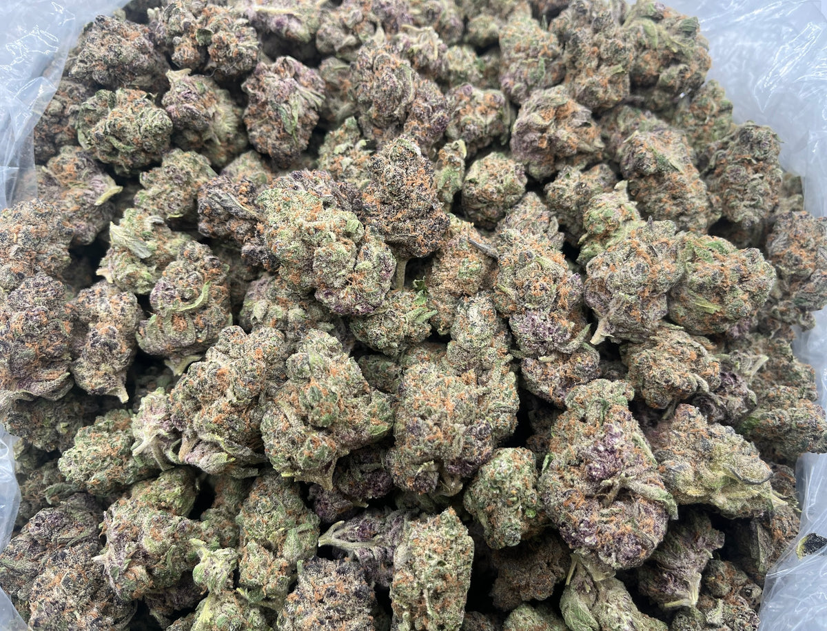 Superboof (Indoor) bag photo