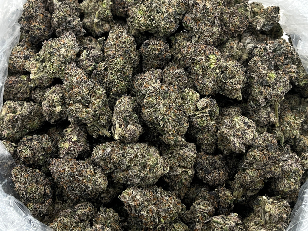 Grape Runtz (Exotic) supplier bag photo