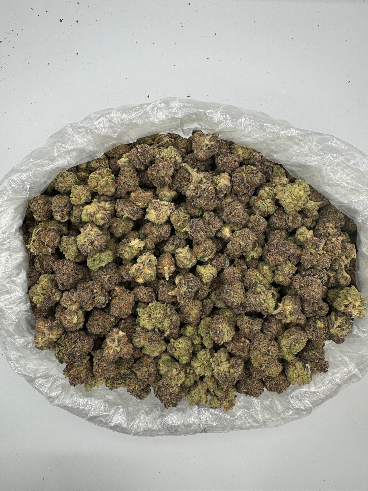 Mimosa (Indoor Plus) bag photo