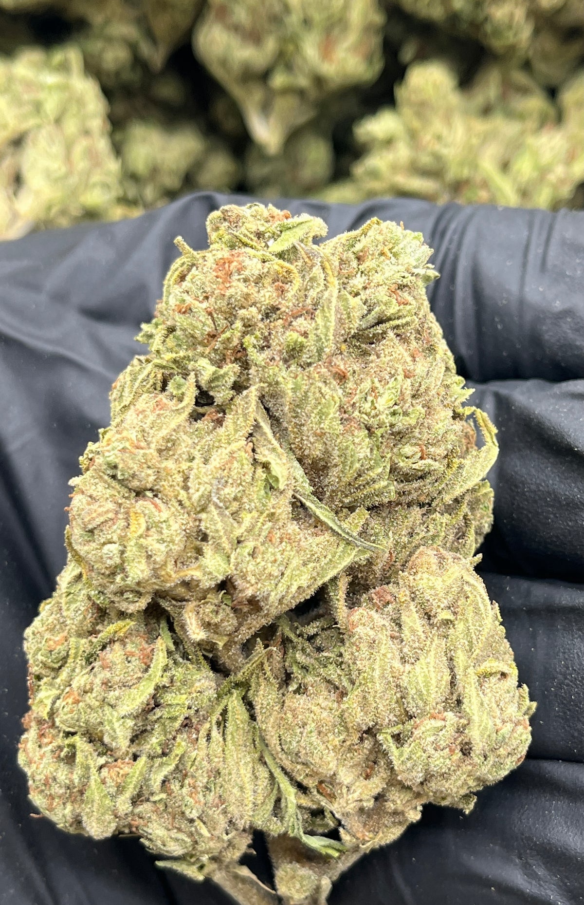 Banana Lemon (Deps) supplier nug photo