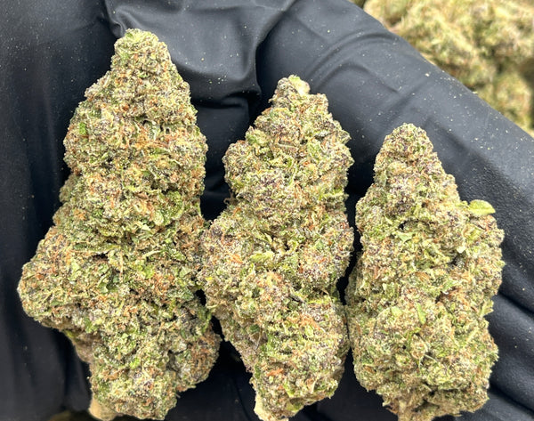 Agent Orange (Deps) – Legally Numb