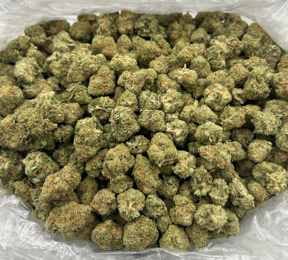Blue Skittles (Indoor) bag photo
