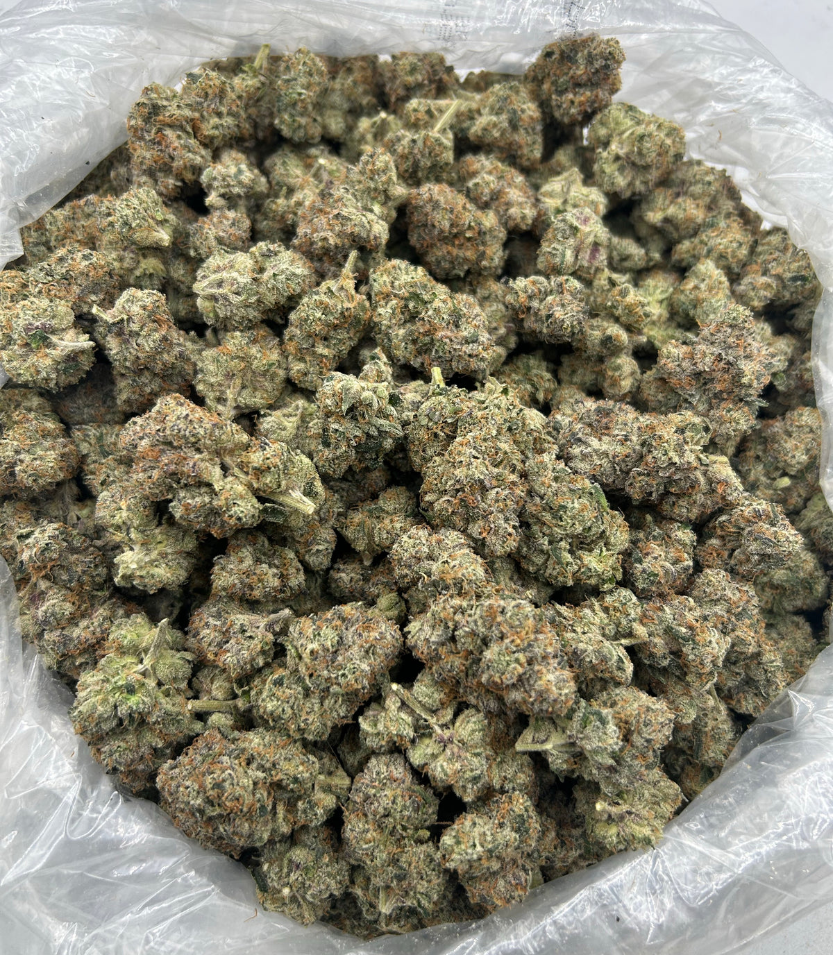 Blueberry Blast (Indoor Plus) bag photo
