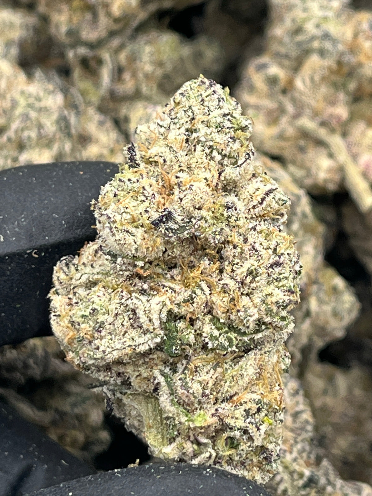 Diamond Dripz (Exotic) supplier nug photo