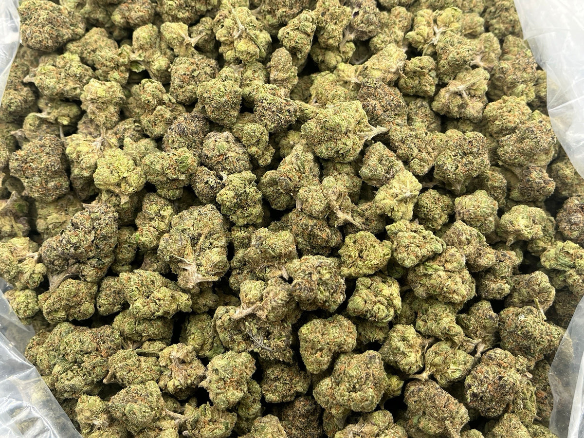 Cherry Zoap (Indoor) bag photo