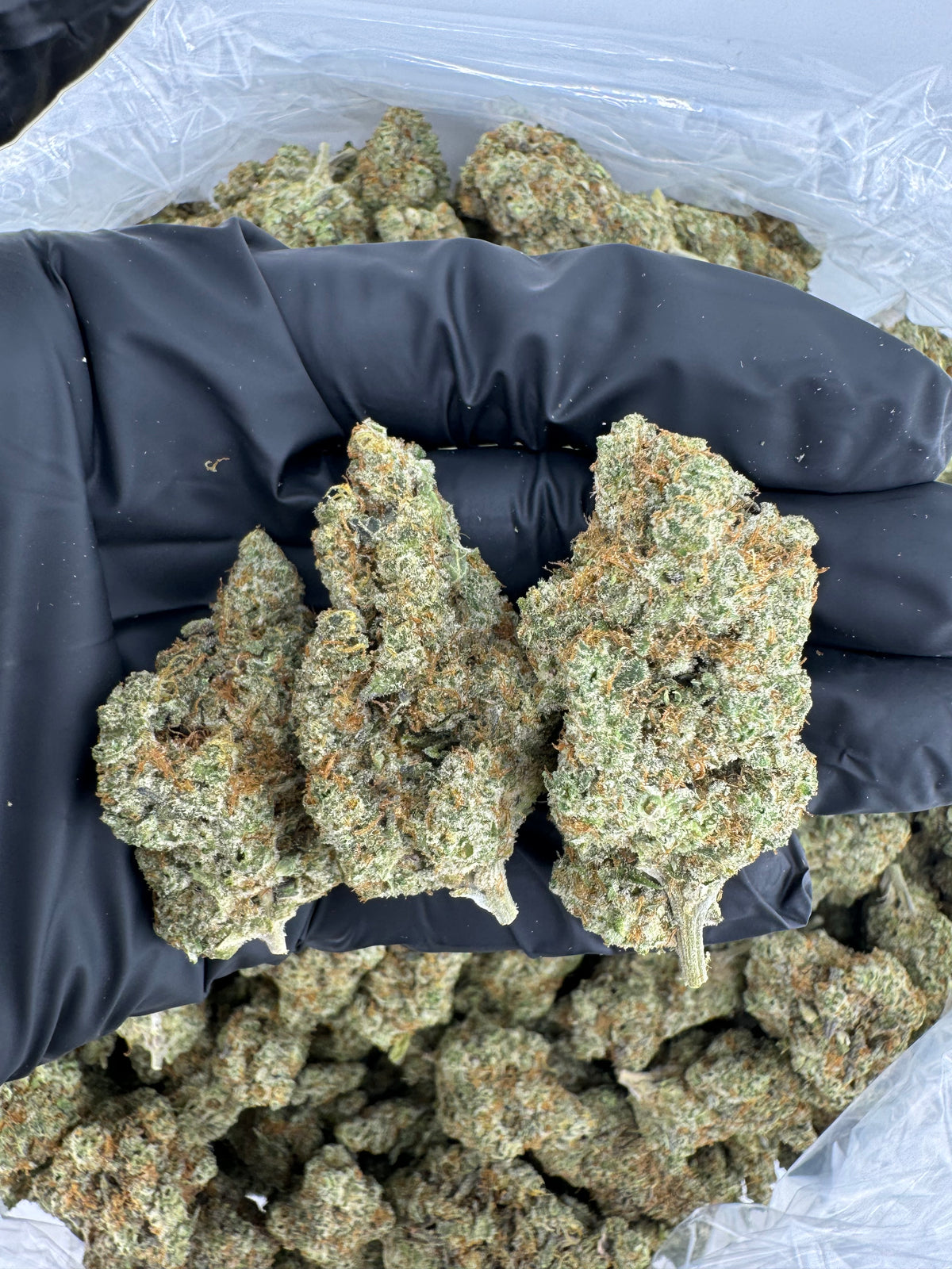 Super Lemon Haze (Indoor Plus) flower photo