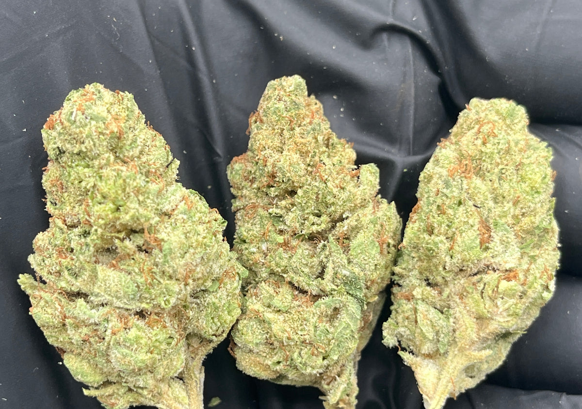 Sour Guava (Deps Plus) flower photo