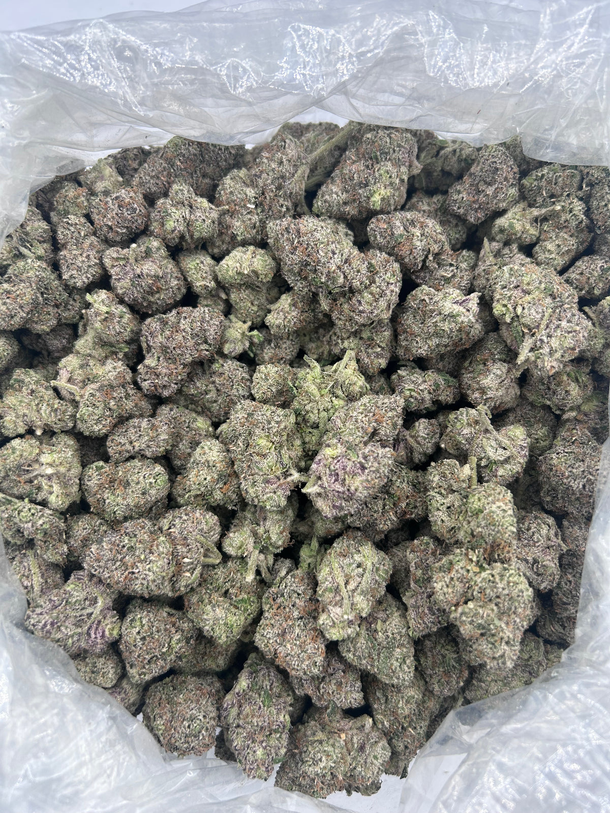 Watermelon Warheadz (Indoor Plus) bag photo