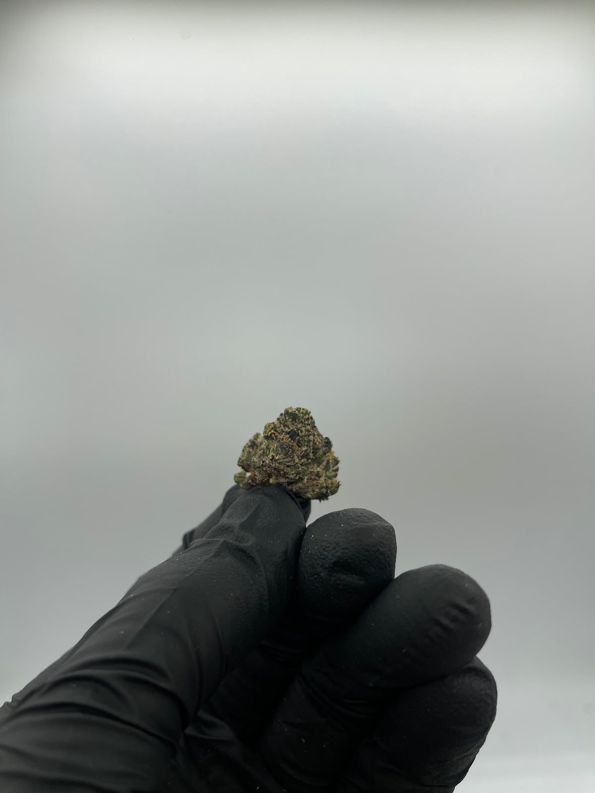 Ice Cream Cake (Smalls) supplier nug photo