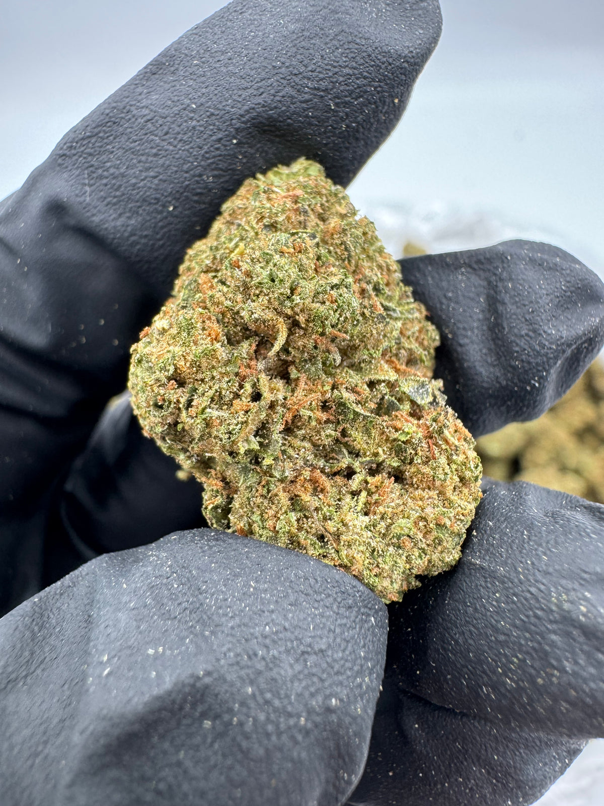 White Runtz (Deps) supplier nug photo