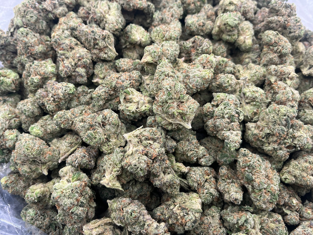 Godfather OG (Indoor Plus) bag photo