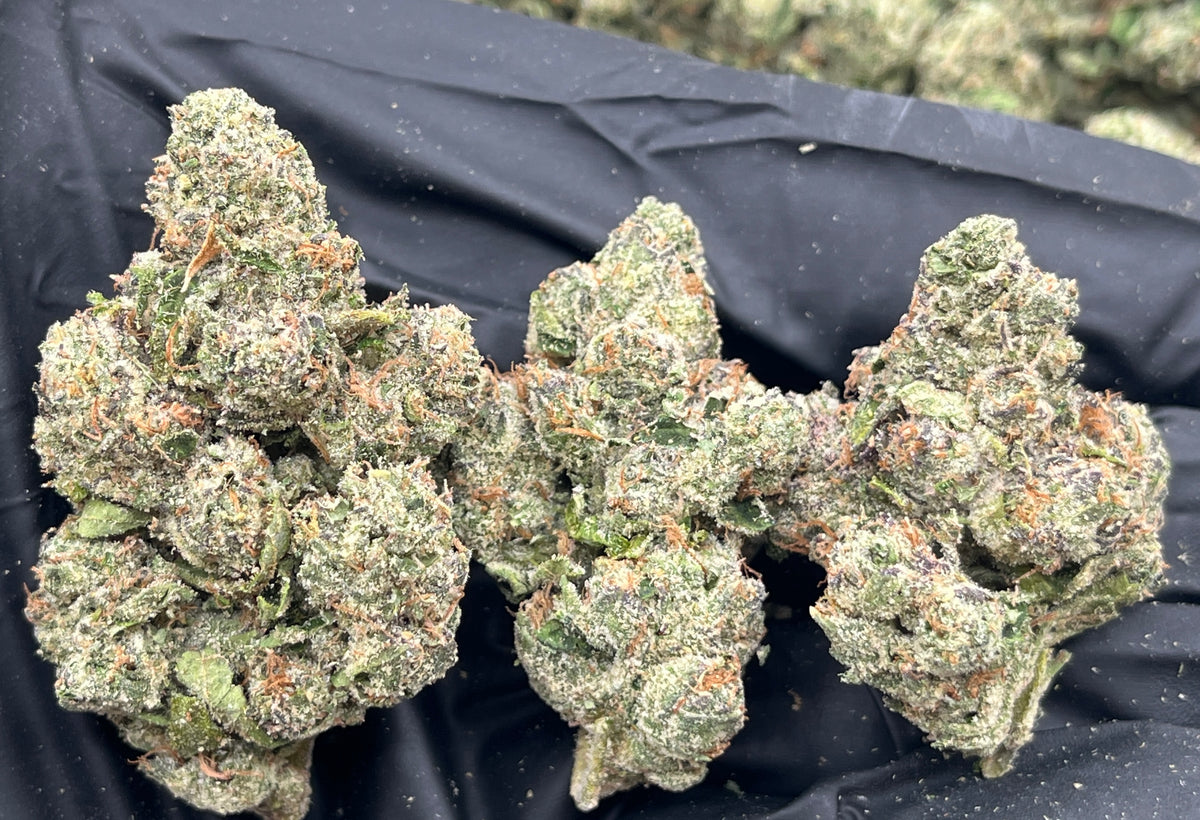 Paradise Runtz (Exotic Bigs) flower photo