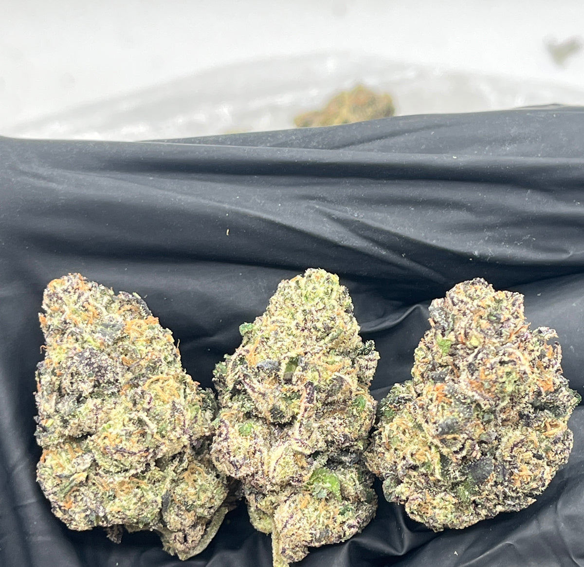 Grape Cherry Gelato (Exotic) flower photo