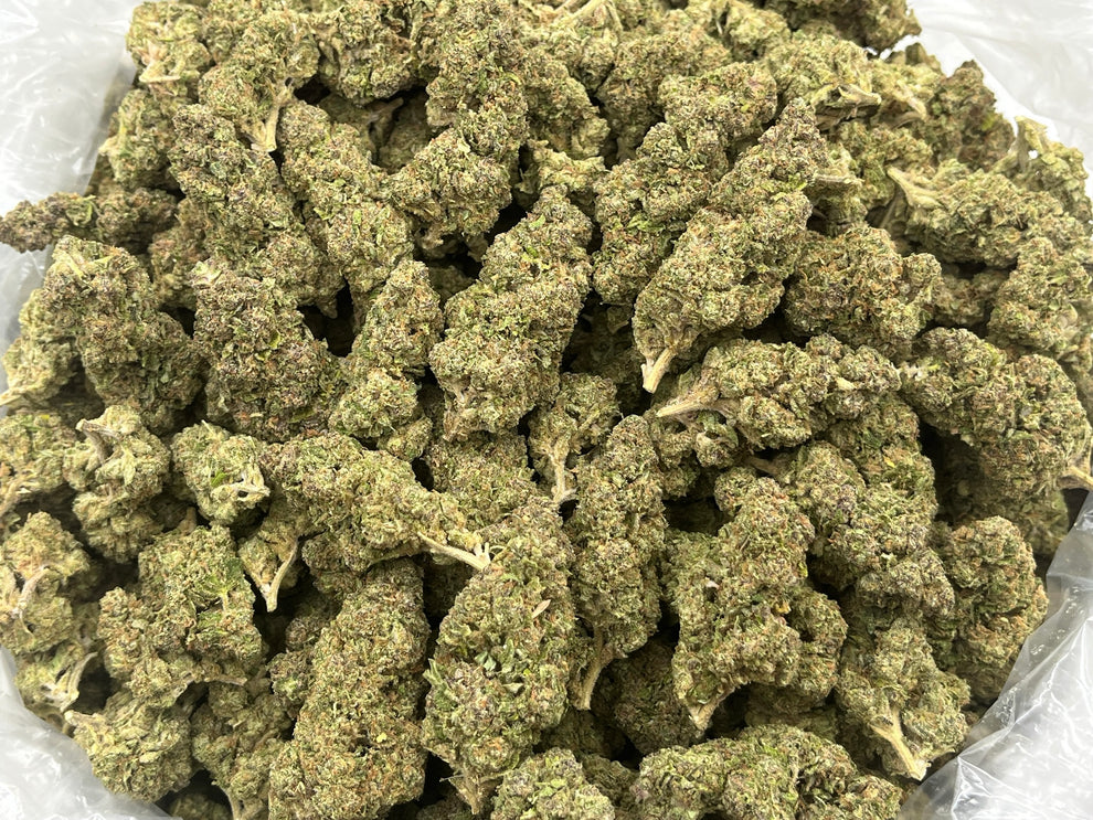 Agent Orange (Deps) – Legally Numb