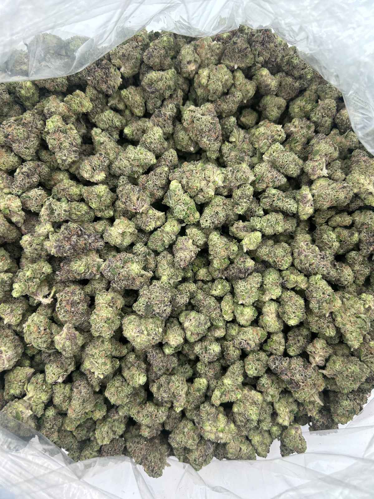 Hashburger (Smalls) bag photo